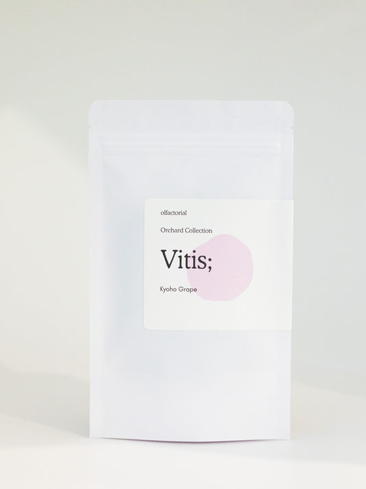 Vitis;